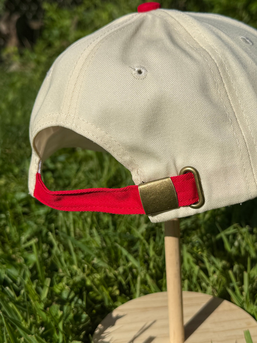 Bad Day To Be A Diet Coke Trucker Hat